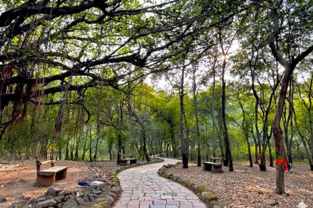 Tapovan, Nashik